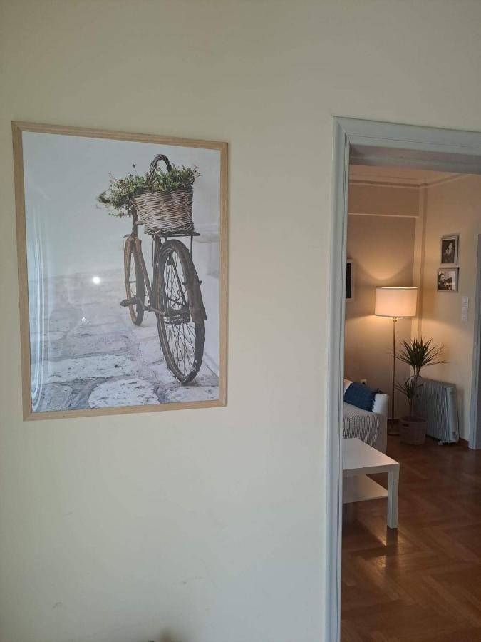Central Museum Comfort Appartment Athens Luaran gambar